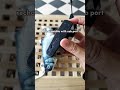 MR.DIY Cat Toy Fish