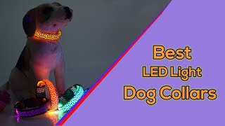 Brightest LED Dog Collars || Best LED Light up Glow Dog Collars