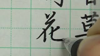 Chinese calligraphy with pen | Chinese characters handwriting