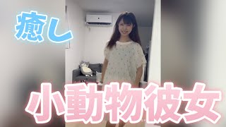 自分を猫だと思う犬系彼女が可愛すぎる #shorts