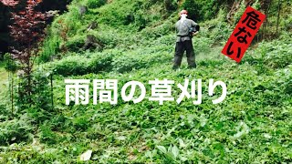 田舎暮らしの日常　雨間に急いで草刈りしました　飛騨の山奥での生活