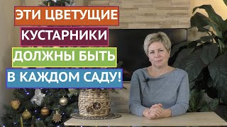 САМЫЕ КРАСИВЫЕ ЦВЕТУЩИЕ КУСТАРНИКИ, КОТОРЫЕ ДОЛЖНЫ БЫТЬ В КАЖОМ САДУ!