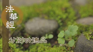 【靜思妙蓮華】法華經 分別功德品 - 惡世持經 具諸供養 - 20240214 第1611集