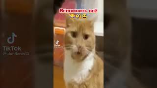 Поймал приход!)))