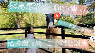 愉景灣酒店 三白灣訪駿馬：與馬馬溝通 動物傳心 Discovery Bay Lantau Island with Horse 🐴