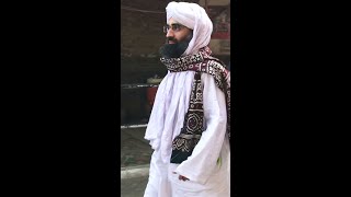 Hazrat Lal Shahbaz Qalandar Par Hazri | Maulana Ubaid Raza Attari | Sehwan Sharif | #shorts #short