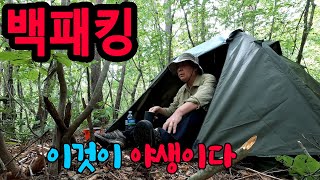 이것이 진정한 야생이다#백패킹 #강원도 #야생