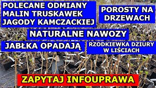 Polecane Odmiany Malin, Truskawek, Jagody kamczackiej. Jabłka Opadają, Rzodkiewka Dziury w Liściach.