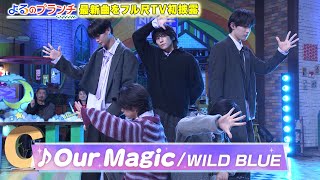 WILD BLUE ｢Our Magic｣ よるのブランチ Performance Ver.【TBS】