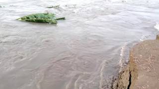 Flood situation in assam airkata dhubri(2)