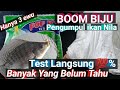 BOM PENGUMPUL IKAN NILA // cara mengumpulkan ikan nilla liar