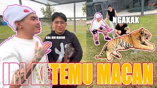 YB IRL DATANG KE KANDANG MACAN KENZO, ALOY : INI NIH GUA MACAN 🤣 - LIVESTREAM 26 FEBRUARI 2025