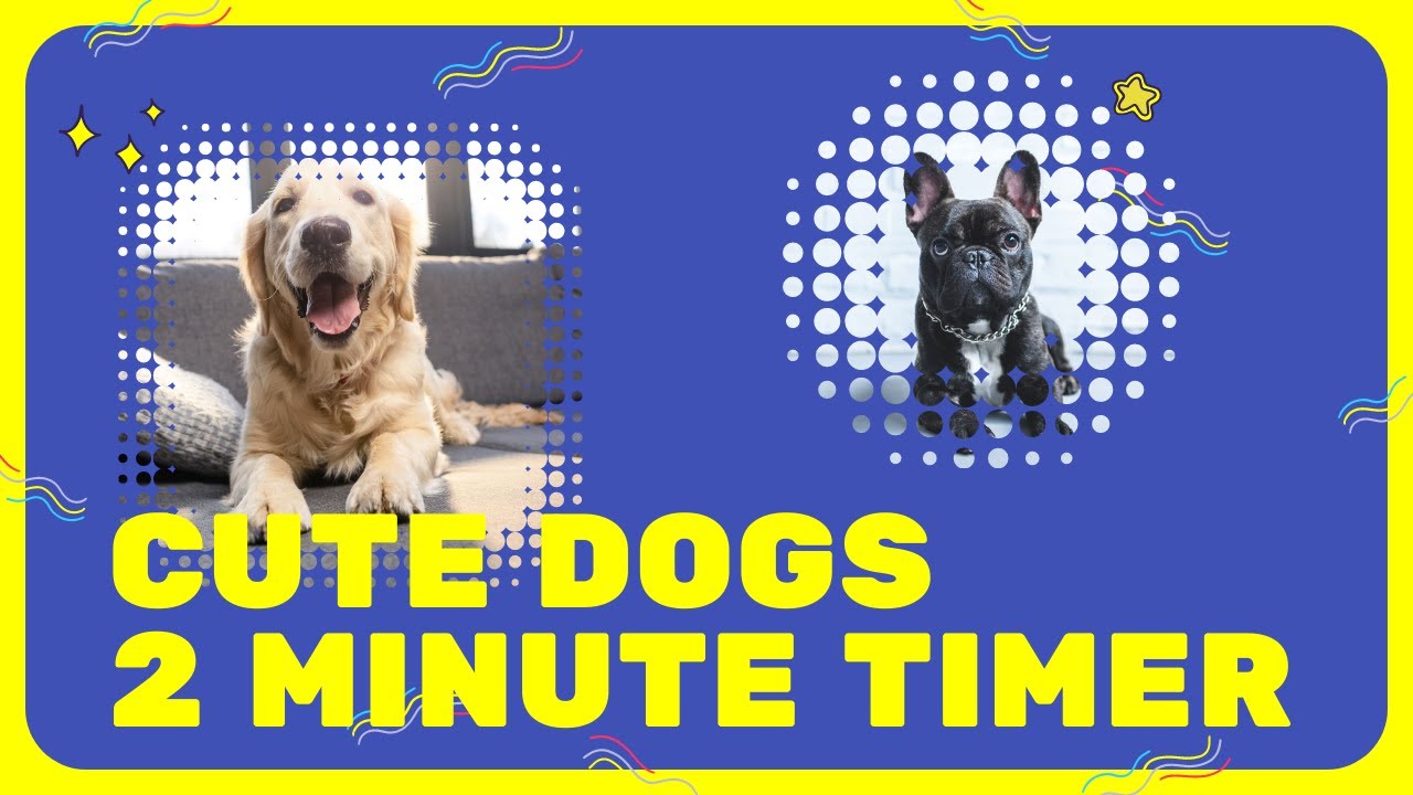 20 Minute Timer Dog Inabofrosdx