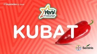 Yeni Yıldızlar: Kubat Kapya Biber