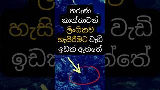 මේ දේ ඇත්තක්ද? 🙄🥰. #psychology  #education #shorts