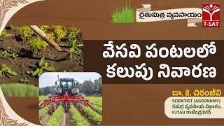 రైతుమిత్ర వ్యవసాయం | వేసవి పంటలలో కలుపు నివారణ |  డా. కె. చిరంజీవి  | T-SAT