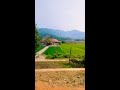 പ്രകൃതി മനോഹരമായ ഉത്രാളിക്കാവ് അമ്പലം beautiful view uthralikkavu temple shorts kerala temble