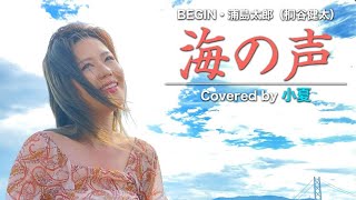 【女性が歌う】海の声 - BEGIN・浦島太郎（桐谷健太）｜Covered by 小夏【歌ってみた】歌詞付き