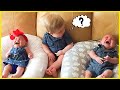 BEST Collection Cute Baby Of February 2023 || 5-Minute Fails
