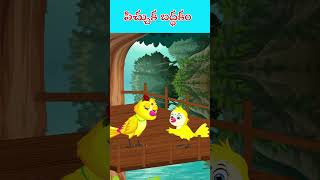 పిచ్చుక బద్ధకం #tunicartoon #tunistories #telugushorts #comedyvideos #birdsshorts #funnyshorts