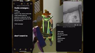 Stop JAGEX before it’s too late…