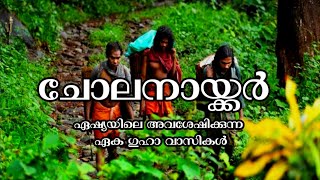 ചോല നായ്ക്കർ||tribal mission Pathanamthitta||primitive tribes||tribes