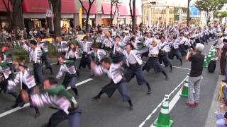 第16回にっぽんど真ん中祭り(2014/8/30)「東京理科大学Yosakoiソーラン部」