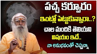 పచ్చ కర్పూరం వల్ల కలిగే అద్భుత ప్రయోజనాలు | 109 Yeras Baba ABOUT Health \u0026 Beauty Benefits of Camphor