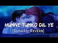 Humne Tumko Dil Ye De Diya [Slowed+Reverb] Gunaah | Alka Yagnik,Babul Supriyo | Lofi Music Channel