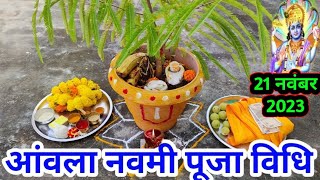 आंवला नवमी //अक्षय नवमी पूजा विधि !! Aamla navmi pooja 2023 !! आंवला नवमी पूजा सामग्री !!