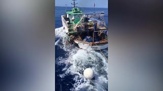 Lampedusa, peschereccio tunisino non si ferma all'alt: Guardia di finanza apre il fuoco