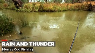 Murray Cod Huntuing - Rolling Storm