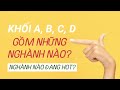 khối a b c d gồm những nghành nghề nào cách chọn nghành dễ nhất