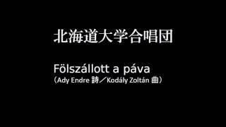 Fölszállott a páva　北大合唱団