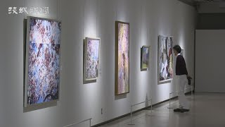 桜モチーフに特別展  笠間