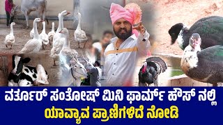 ಹಳ್ಳಿಕಾರ್‌ ಒಡೆಯನ ನೋಡಿದ್ರೆ ಕಳೆದೋಗ್ತಿರಾ..! | VarthurSanthosh | VarthurfarmHouse | BBKVarthurSanthosh |