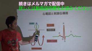 新人看護師研修！！【心房と心室の収縮に時間差ができる理由】 谷口総志プレゼンテーション