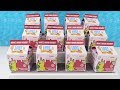 Lost Kitties Mice Mania Series 3 Figure Unboxing Toy Review | PSToyReviews