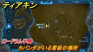 ティアキン　カバンダがいる看板の場所　ロードラム半島　＃１５０７　【ゼルダの伝説ティアーズオブザキングダム】