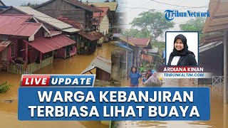 Banjir Picu Kemunculan Buaya di Desa Masabang Kutim, Warga Mengaku Sudah Biasa dan Tidak Terusik