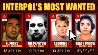 Interpol's 4 Most Wanted, Explained