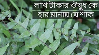 ঢেঁকি শাক এর অলৌকিক ঔষুধি গুনাগুণ । ঔষুধি গাছ । ঢেঁকি শাকের উপকারিতা । The Knowledge Buddy