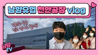 [vlog]남양유업 인턴들의 천안공장 견학 브이로그ㅣ냠얌즈