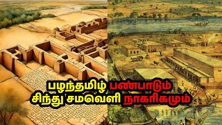 பழந்தமிழ் பண்பாடும் சிந்து சமவெளி நாகரிகமும் | Ancient Tamil culture \u0026 the Indus Valley civilization