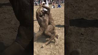 Powerful mud wrestler😯😯 #music #wrestling #wrestlerlife #shortvideos