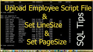 SQLPLUS: LineSize & PageSize | How to set Pagesize and Linesize in SQL | Linesize PageSize in SQL