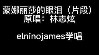 蒙娜丽莎的眼泪（片段）原唱：林志炫 ，elninojames学唱