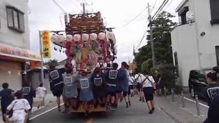 20160918 1026やわたんまち2日目年番神明町鶴ケ谷八幡宮に向けて疾走する