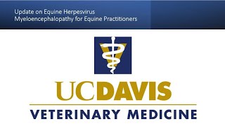 Update on Equine Herpesvirus Myeloencephalopathy for Equine Practitioners