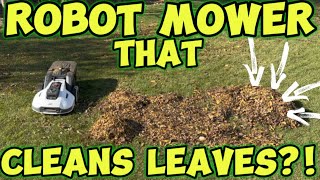 Robot Lawn Mower That Cleans Up Leaves?! Mammotion Yuka Lawn Sweeping Robot Lawn Mower